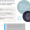 BodyBio Gut Health Supplement 100 Caps - Butyrate + Sodium | The Ultimate Postbiotic | No Bloating | No Gas | Great Poops | Supports Healthy Digestion | Leaky Gut Repair | No Additives - Image 3