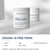 BodyHealth Organ+ Grass-Fed Glandular Organ Complex, Grassfed Beef Organ Supplement, Dessicated Beef Liver, Heart, Kidney, Pancreas, Spleen, Non GMO, Adrenal, Supplement, (150 Capsules) - Image 5