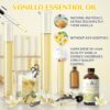 EVOKE OCCU Vanilla Essential Oil for Relaxation in The Home Office Living Room, Add to Diffuser Candle Soap - 4 Fl Oz - Image 5