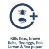 PETARMOR Home Carpet Powder for Fleas and Ticks, Protect Your Home From Fleas and Deodorizes Carpets, 16 Ounce - Image 9