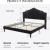 SHA CERLIN Queen Bed Frame with Adjustable Headboard/Velvet Upholstered/Diamond Button Tufted and Metal Studs/No Box Spring Needed/Wood Slat Support/Easy Assembly/Black - Image 2