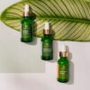 Tree of Life Beauty Facial Skin Care Set, Brightening, Firming, Hydrating, Dry Face, Dermatologist Tested - Trio Power Kit, Vitamin C, Retinol and Hyaluronic Acid, 3 count of 1 Fl Oz - Image 4
