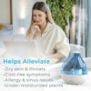 Pure Enrichment MistAire Ultrasonic Cool Mist Humidifier - Quiet Air Humidifier for Bedroom, Nursery, Office, & Indoor Plants - Lasts Up To 25 Hours - Image 3