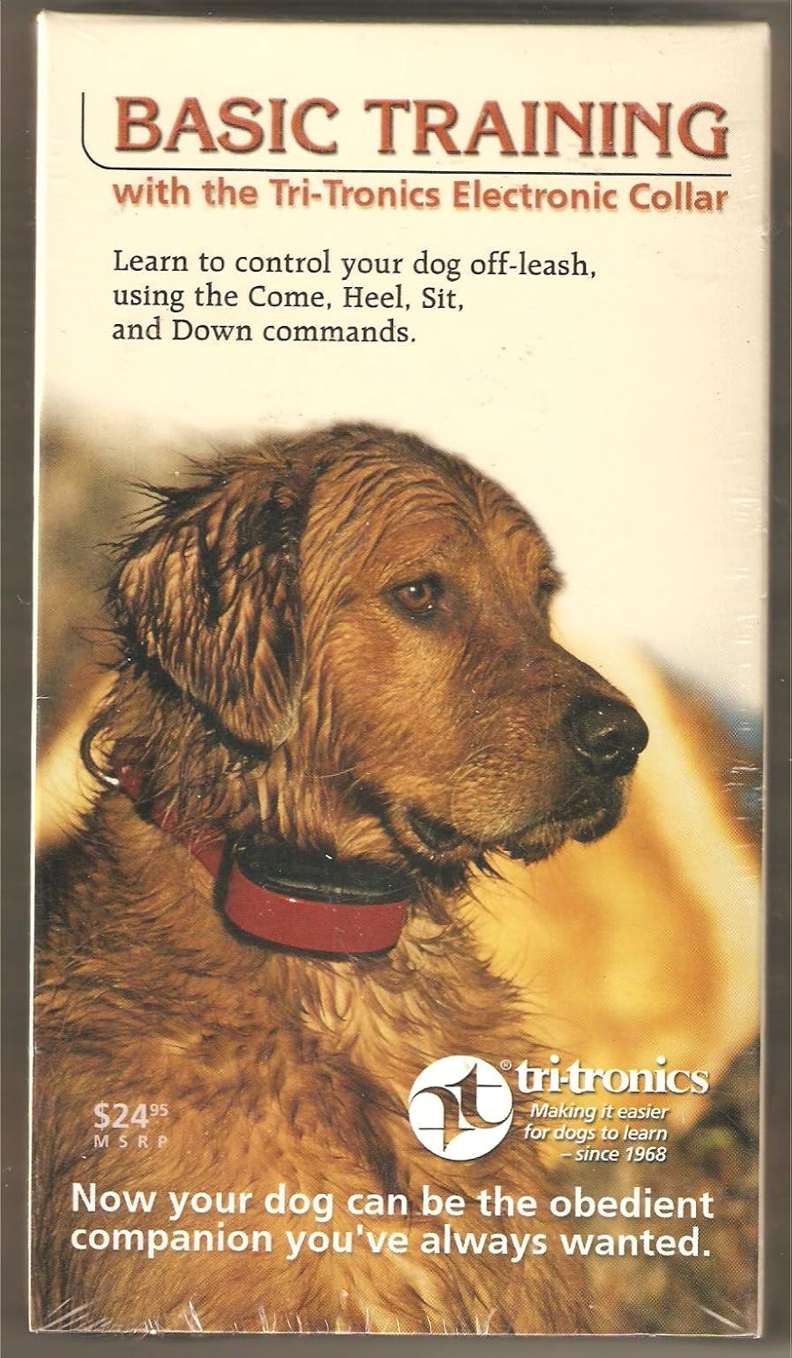 Basic Training With The Tri-Tronics Electronic Collar
