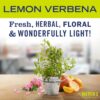 MRS. MEYER'S CLEAN DAY All-Purpose Cleaner Spray, Lemon Verbena, 16 fl. oz - Image 3